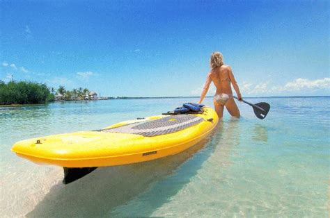Find Key Largo Sightseeing Tours And Sunset Cruises Here At Fla Keys
