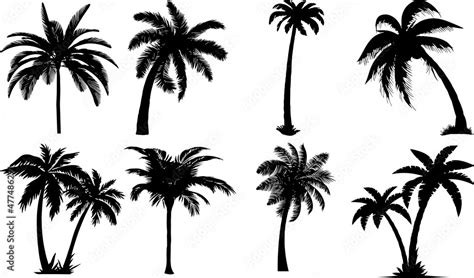 Vecteur Stock Palm Tree Silhouettes Palm Tree Svg Eps Png Adobe Stock