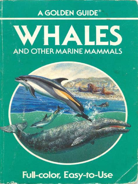 Whales And Other Marine Mammals A Golden Guide Cetacea Aquatic