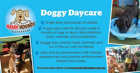 Doggy Day Care Hairy Hounds Playground