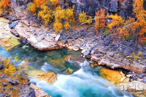 Autumn Scenery In The Abisko Canyon With Abiskojakka River Sweden