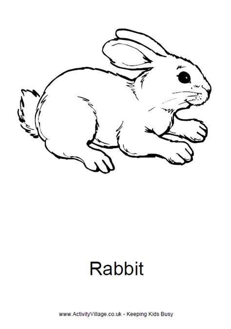 This one is good for the older children since there are some small points to color, but anyone can use it. Rabbit Colouring Page To Print