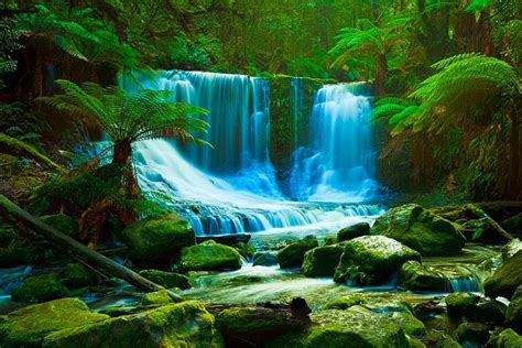 Enchanted Waterfalls Beautiful Scenery Wallpaper Green Nature