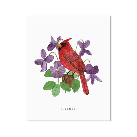 Illinois State Bird Art Print Illinois Cardinal And Purple Etsy