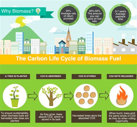 Best Uses Of Biomass A Green Renewable Bio Energy