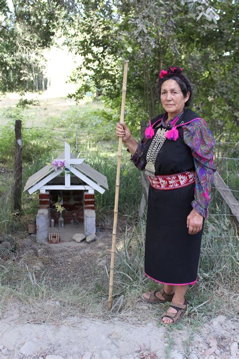 Climate Change Is There A Positive Side For Mapuche Communities In