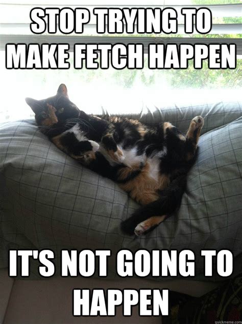 stop trying to make fetch happen it s not going to happen stop trying quickmeme