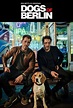 Dogs of Berlin (TV-Serie, 2018) | Film, Trailer, Kritik