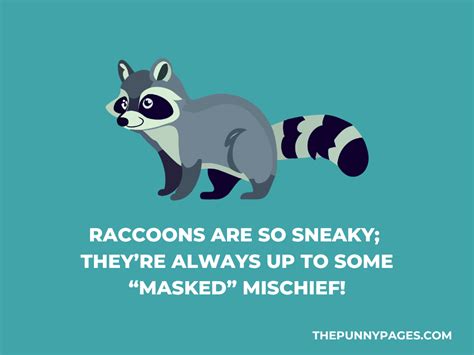 100 Funny Racoon Jokes And Puns
