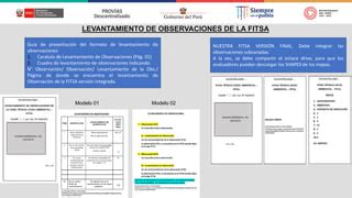 INGRESO DE LEVANTAMIENTO DE OBSERVACIONES FITSA Pdf