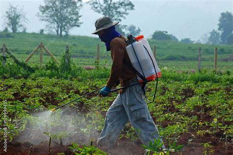 Farmer Spraying Pesticide In The Cassava Field Vintage Picture Style