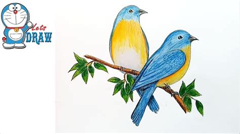 How To Draw Eastern Bluebirds Step By Step Bird Drawings Bird Pencil