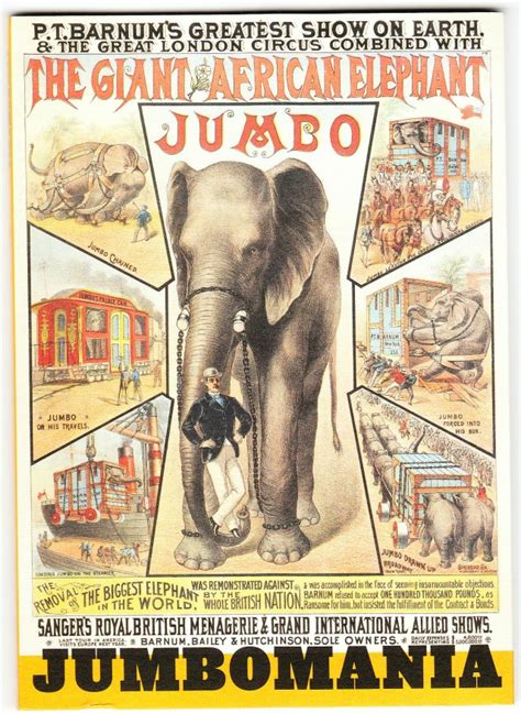 The Paper Collector Jumbo The Elephant
