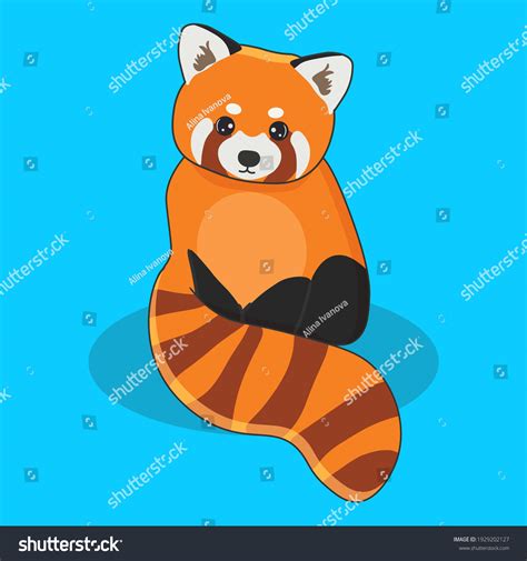4286 Red Panda Face Images Stock Photos And Vectors Shutterstock