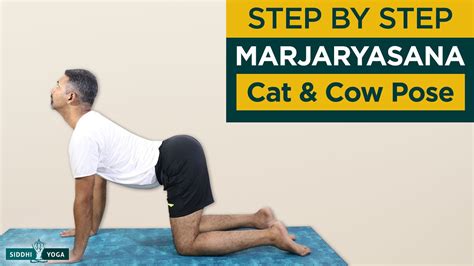 Marjaryasana Cat And Cow Pose How To Do Step By Step For Beginners
