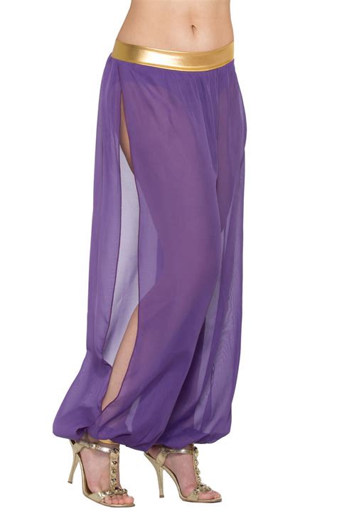 Belly Dancer Harem Pants Adult Costume Purple