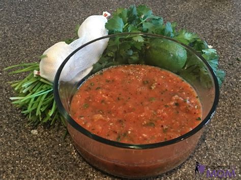 Homemade Roasted Mild Salsa Recipe Powered By Mom