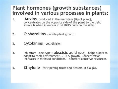 Ppt Plant Hormones Powerpoint Presentation Free Download Id1561212