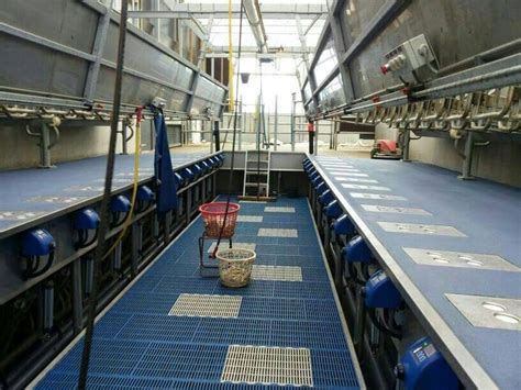 Pleidooi voor een vrouwelijk ambt in de kerk. Zij Aan Zij nieuws | Nieuwsgrazer