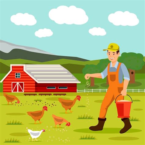 Male Farmer Feeding Chickens Vector Illustration Vector Premium Download