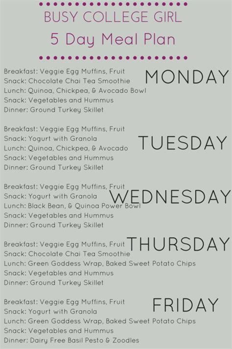 busy college girl  day meal plan  day meal plan
