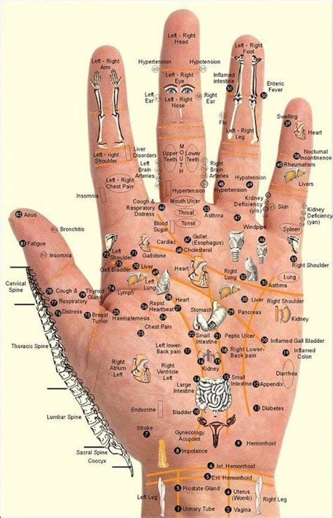 Learn Feet Massage Thigh Massage Hands Massage
