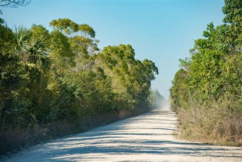 16 Best Things To Do In Big Cypress National Preserve Mapsuseful Tips