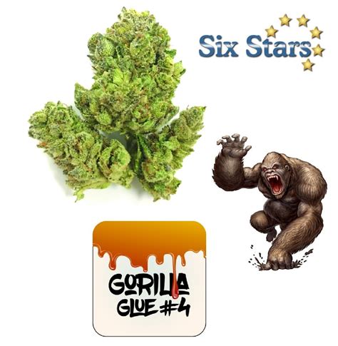Gorilla Glue 4 Thc 28