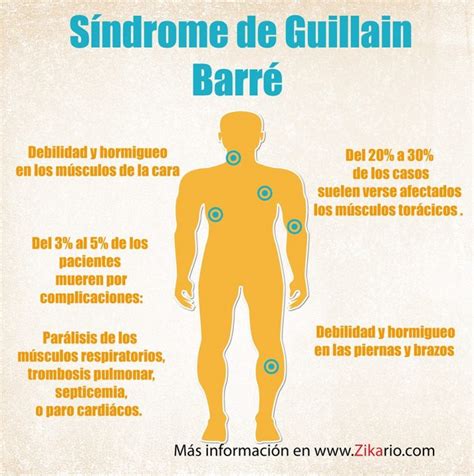 /r/guillainbarre is a small, welcoming community for those who have survived or are currently battling guillain barre syndrome or chronic inflammatory demyelinating polyneuropathy. Guillain Barré se dispara en Piura: 23 casos reportados y ...