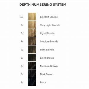 Your Guide To Wella S Hair Color Charts Wella Professionals