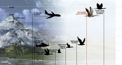 Easily move forward or backward to get to the perfect spot. How Much Carbon Dioxide is Produced by Airplanes? | HubPages