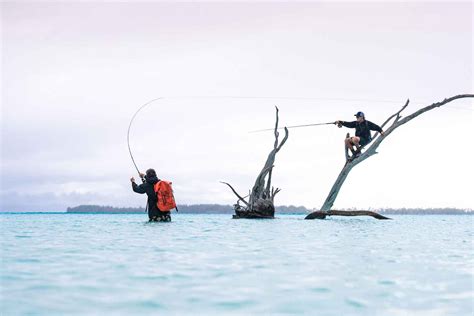 The 2021 Fly Fishing Film Tour Kicks Off Hatch Magazine Fly Fishing