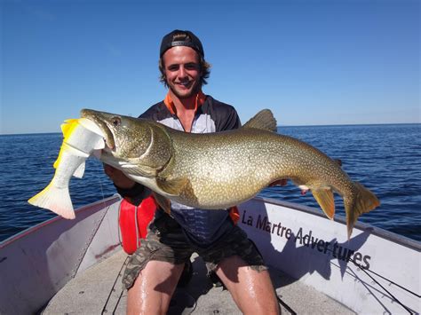 Summer Lake Trout Rfishing