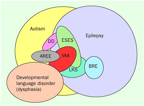 Epilepsy In Autism The Lancet Neurology