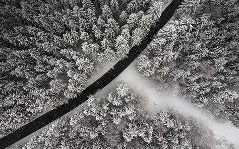 Download Wallpaper 1920x1200 Winter Trees Aerial View Snow Road