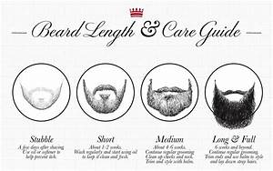 How To Trim A Beard Complete Beard Trimming Guide Cremo