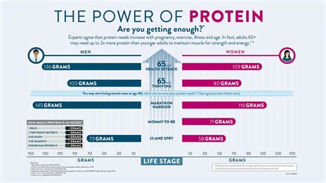 Power Of Protein Infographic Image Eurekalert Science News Releases