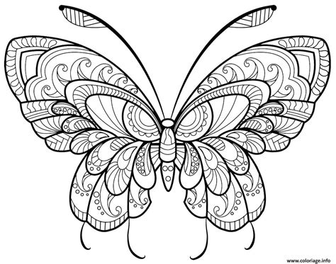 Coloriage Papillon à Imprimer