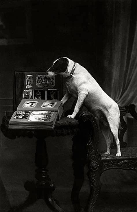 Vintage Dog Photography In Pictures Life And Style The Guardian