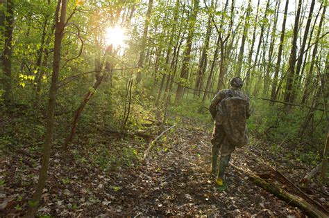 Fall Hunting And Trapping Season Forecasts Highlight Hunter