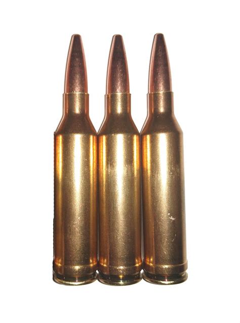 65 Remington Magnum Snap Caps Dummy Rounds Inert