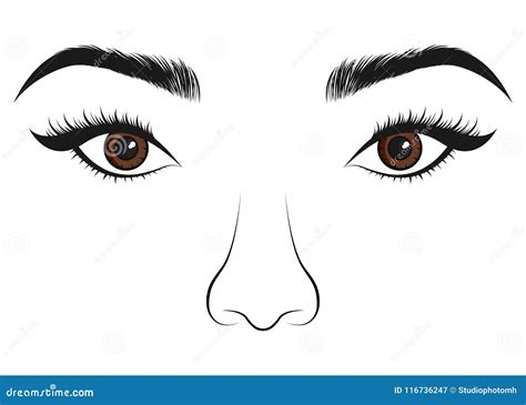 Beautiful Women Portrait Long Lashes Eyes And Nose Vector