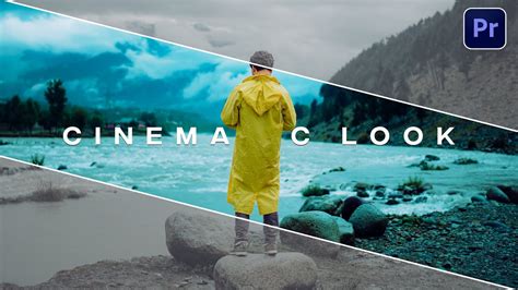 How To Get The Cinematic Look In Premiere Pro Tutorial Youtube