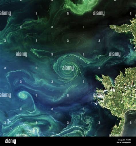 Phytoplankton Bloom Fotografías E Imágenes De Alta Resolución Alamy