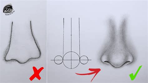 How To Draw A Nose Easy Step By Step Nose Drawing Nose Drawing