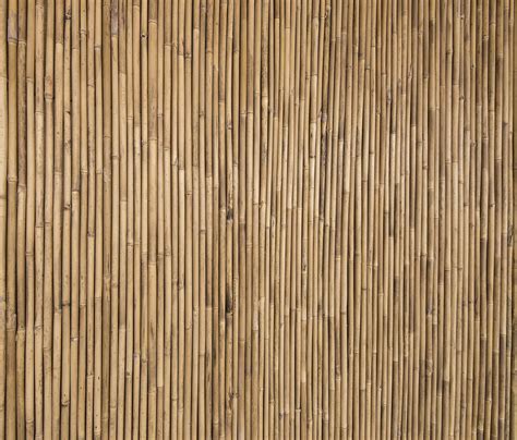 Bamboo Texture Beliebtes Poster Photowall