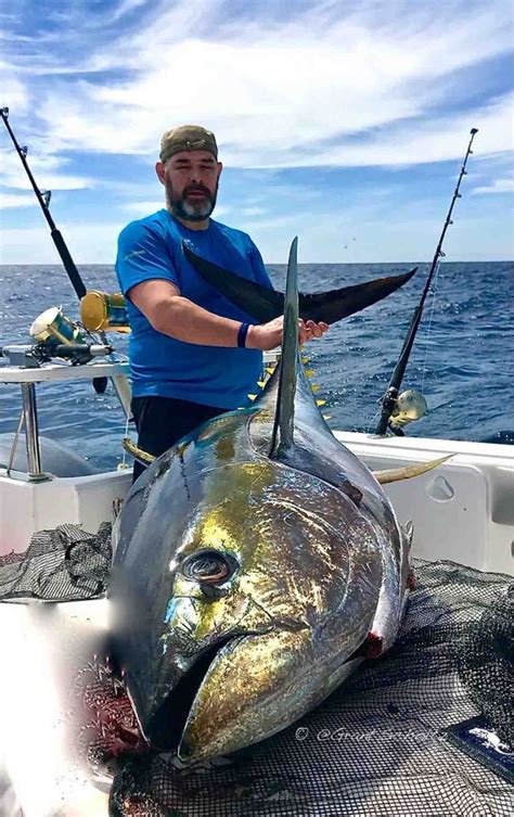 We Like To Catch Big Fish 89kg Yellowfin Tuna