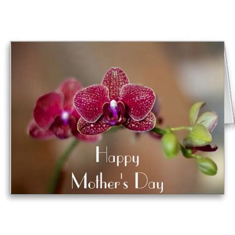Beautiful Orchid Mothers Day Card Mothers Day Mothers Day Greeting Cards
