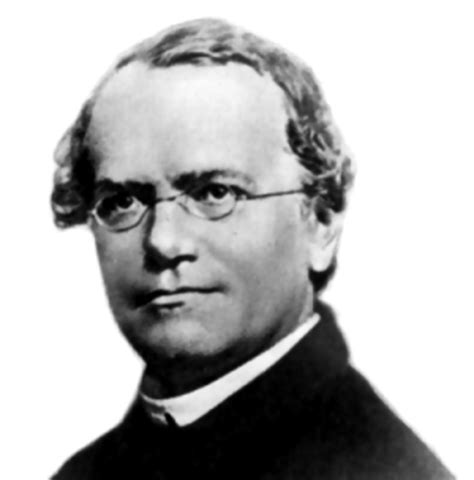 Biography Of Johann Gregor Mendel Father Of Genetics Hubpages