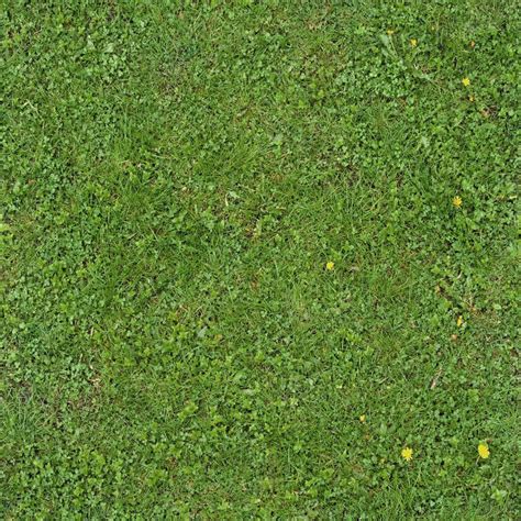 Free 15 Grass Texture Designs In Psd Vector Eps